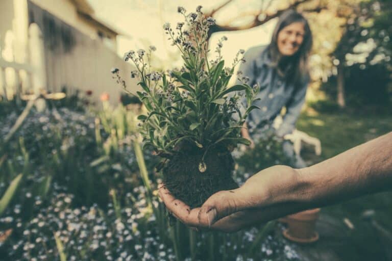 The importance of a house warming ceremony