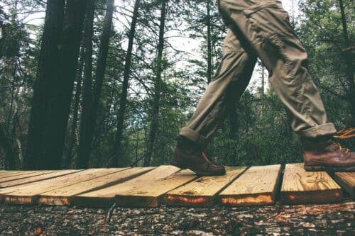 Mindfulness Nature Walk